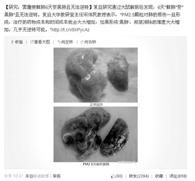 复旦称“雾霾使鲜肺6天变黑”报道不实