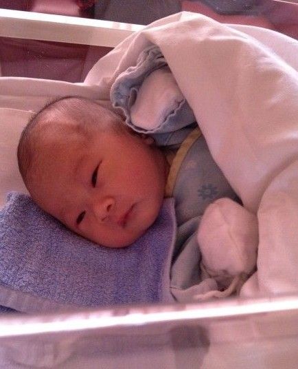 港星文颂娴剖腹产女 晒温馨全家福