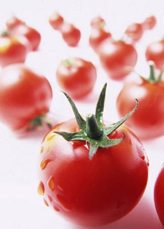 番茄豆漿減肥