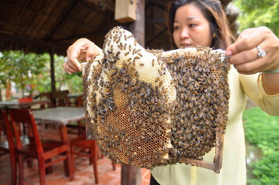 美国女硕士开店供人搂抱减压(图)