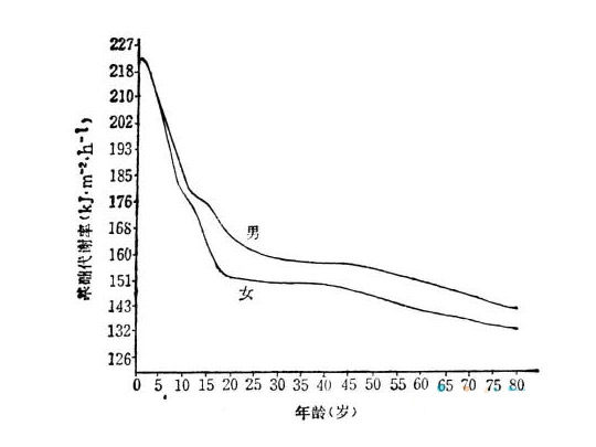 基础代谢率正常值是多少