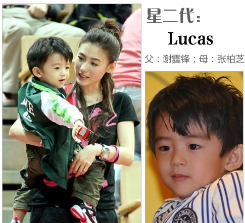lucas(谢振轩),5岁,谢霆锋张柏芝之子.