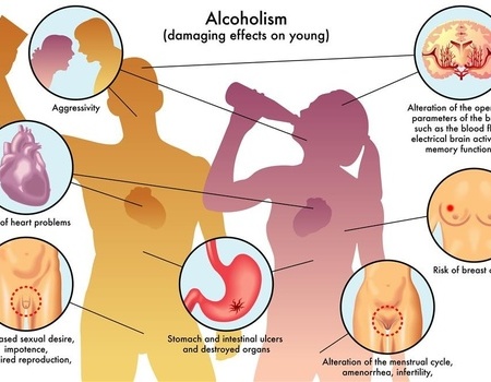 崔玉涛探究母乳喂养的重要性