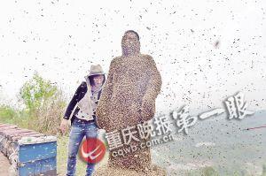 男子召来46万只蜜蜂覆盖全身 制成91斤蜂衣(图) 男子召来46万只蜜蜂覆盖全身 制成91斤蜂衣(图)