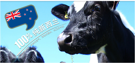 欧欧微信微博活动火爆 高潮迭起反应热烈