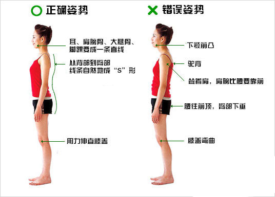 瘦双下巴的最快方法(图)