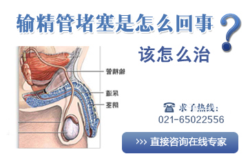 输精管堵塞