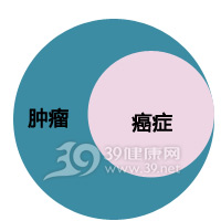 肥胖的危害大 肥胖增大患肿瘤风险