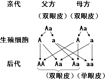 多哭多揉？小九首度现身示范不手术变双眼皮绝招