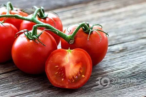 番茄有什么功效与作用呢?没食欲吃吃番茄吧!