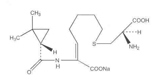 药品查询首页 中西药 泰能(注射用亚胺培南西司他丁钠)  分子式:c16