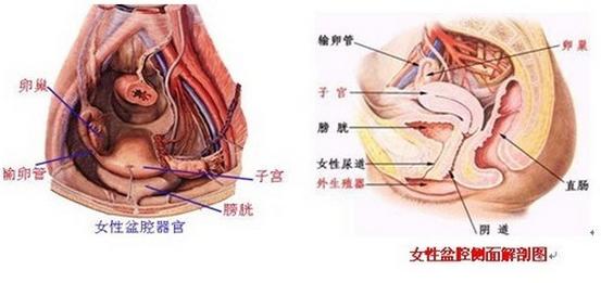 白带发黄