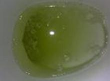 精子不液化