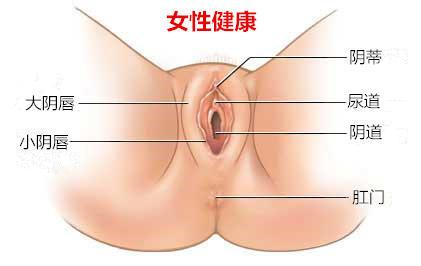 阴蒂肥大