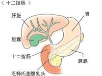 十二指肠良性肿瘤