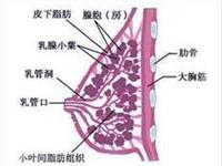 慢性乳腺炎