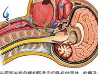 鼾症