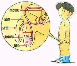 尿等待