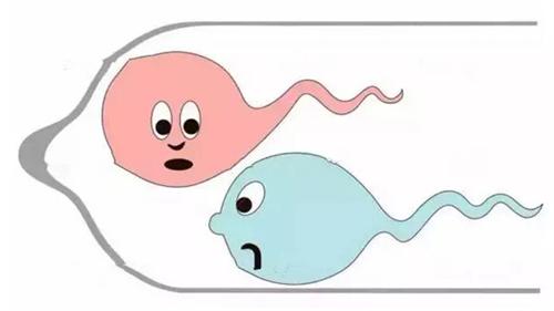 精子不液化