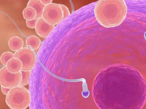 精子不液化