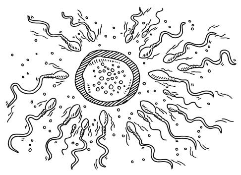 精子活力低