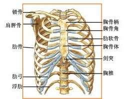 胸壁疼痛