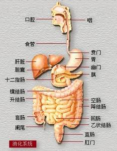 上消化道出血