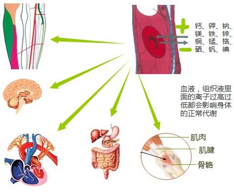 低钠血症