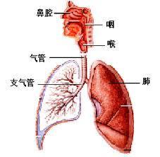 呼吸衰竭