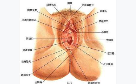 外阴萎缩