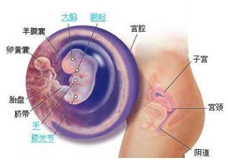 子宫收缩不良