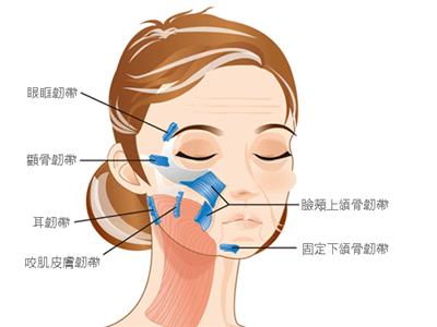干性皮肤