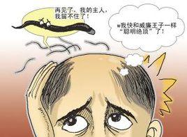 梅毒性脱发