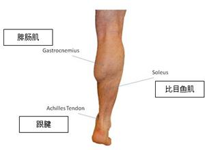 腓肠肌痉挛