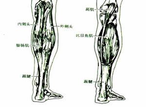 腓肠肌痉挛