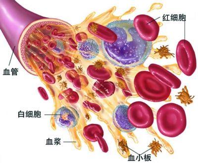 血小板减少性紫癜