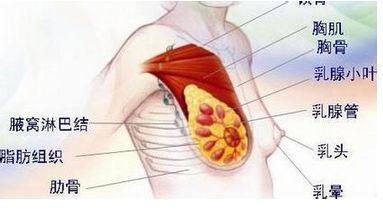 乳腺导管扩张症