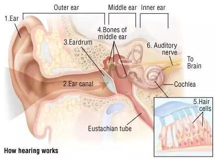 神经性耳聋