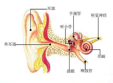 粘连性中耳炎