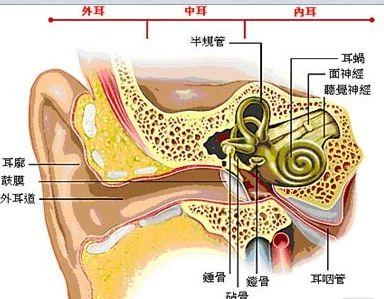 粘连性中耳炎