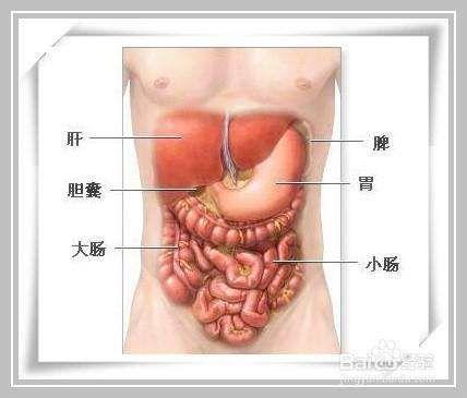胆石