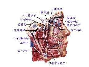 进行性延髓麻痹