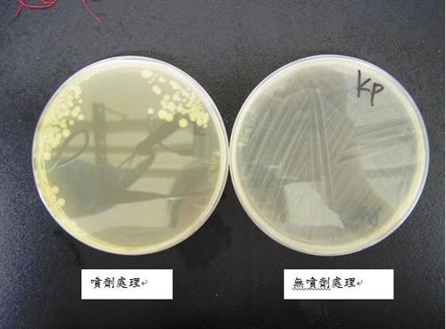 克雷白杆菌肺炎