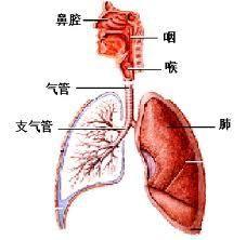 呼吸衰竭