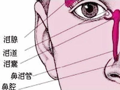 慢性泪腺炎