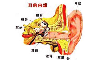 中耳癌
