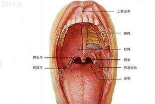 结核性溃疡