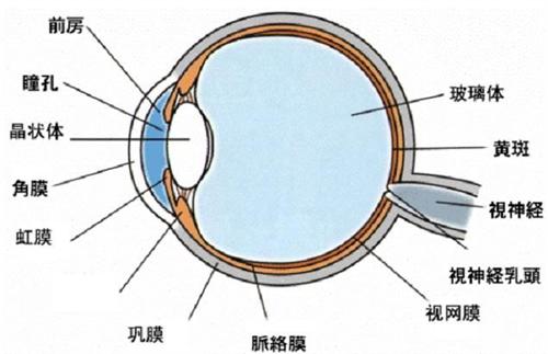 球后视神经炎