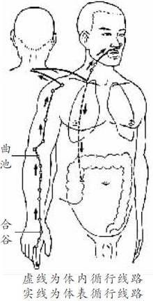 阳明头痛
