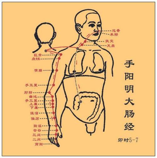 阳明头痛